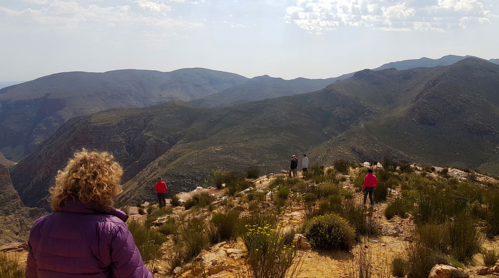 Private Half Day Tour Swartberg Pass 4